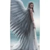 Something Different Anne Stokes Spirit Guide Glasses Case