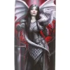 Something Different Anne Stokes Valour Glasses Case