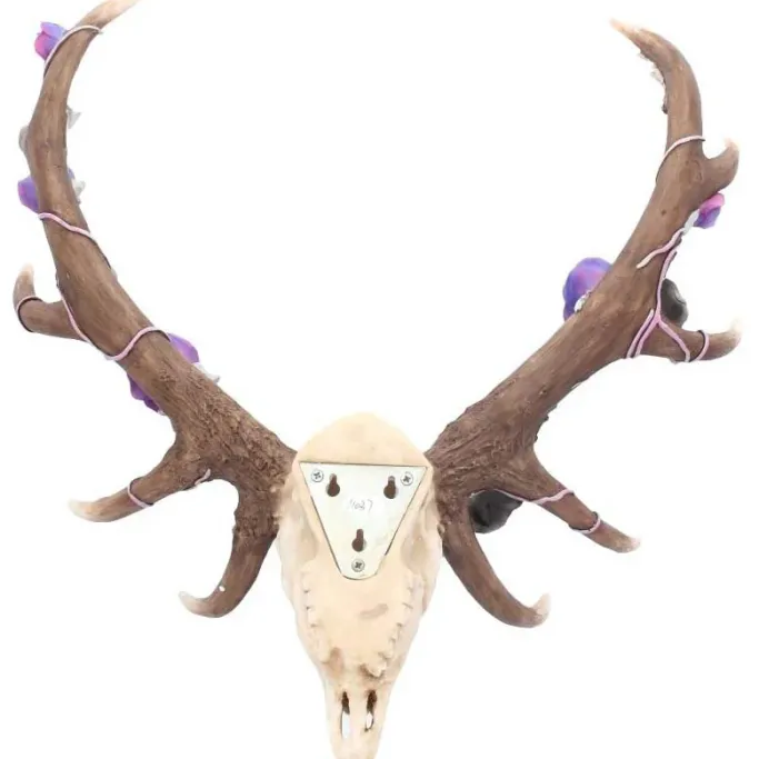 Nemesis Now Antlers of Eden Stag Skull 45cm