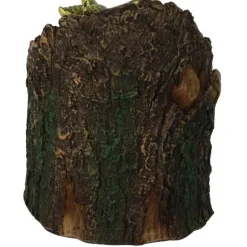 Nemesis Now Arboreal Hatchling Dragon Green