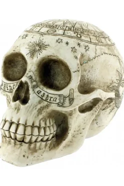 Nemesis Now Astrological Skull