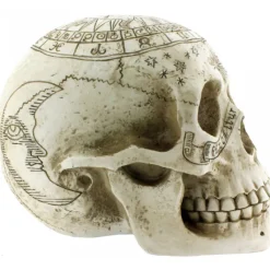Nemesis Now Astrological Skull
