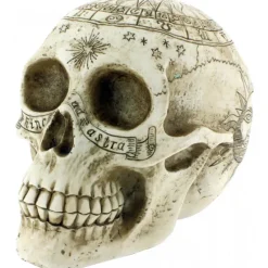 Nemesis Now Astrological Skull