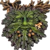 Nemesis Now Autumns Reflection Tree Spirit Plaque