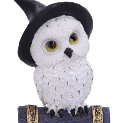 Nemesis Now Avian Spell Owl Figurine Blue