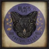Nemesis Now Black Cat Fortune Teller