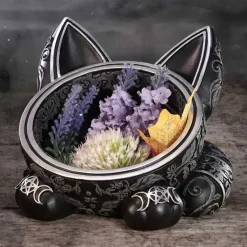 Nemesis Now Black Cat Magic Trinket Bowl