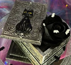 Something Different Black Cat Resin Box