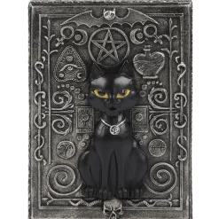 Something Different Black Cat Resin Box