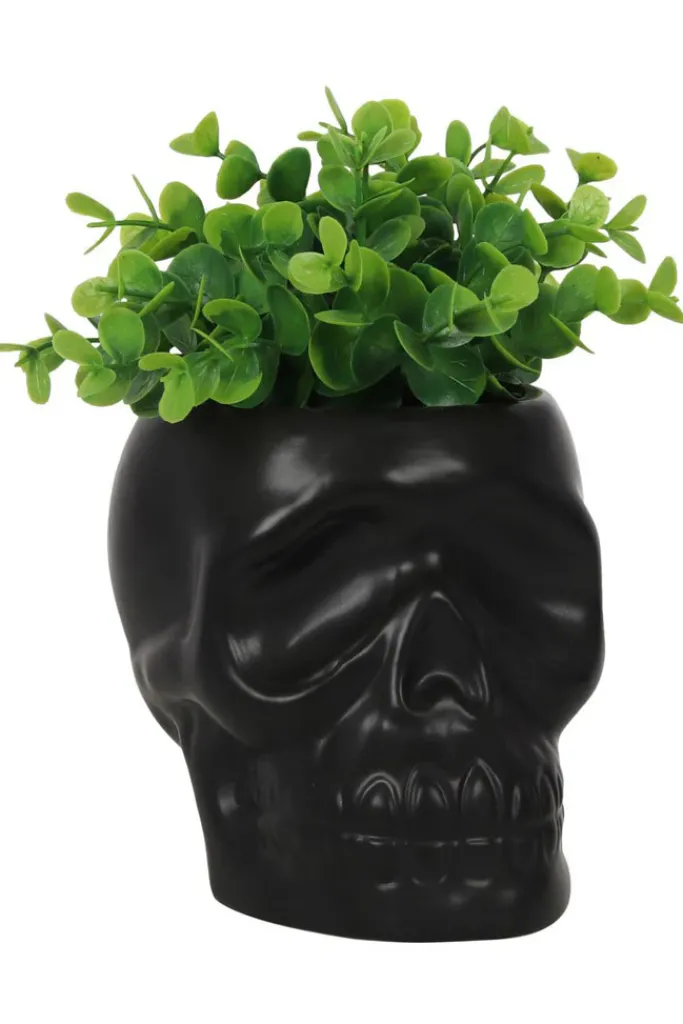 Something Different Black Skull Plant Pot