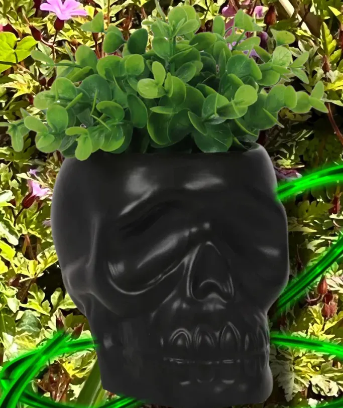 Something Different Black Skull Plant Pot