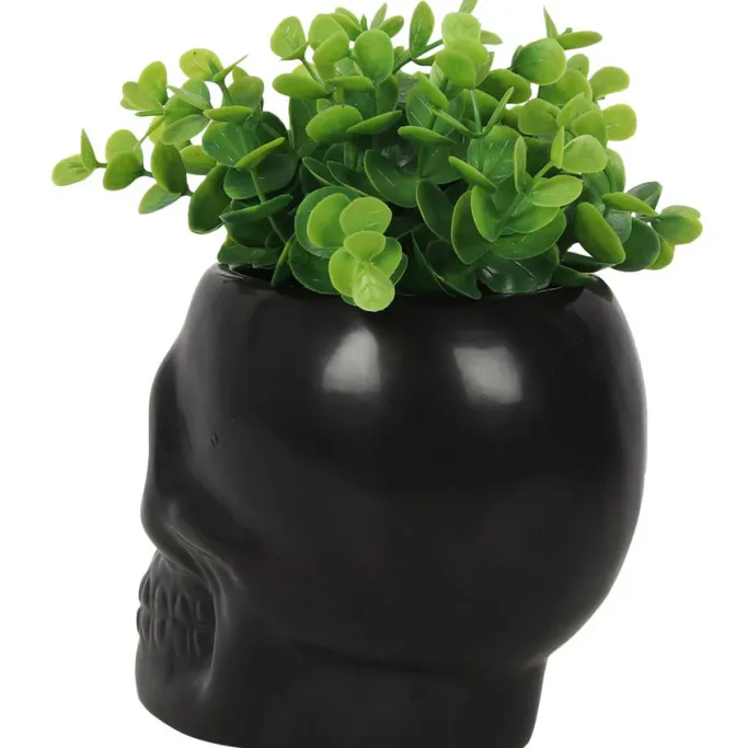 Something Different Black Skull Plant Pot