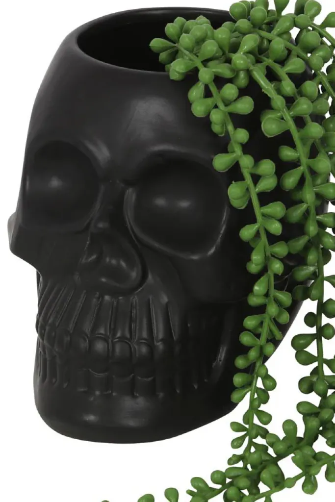 Something Different Black Skull Plant Pot