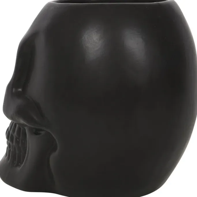 Something Different Black Skull Plant Pot