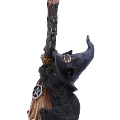 Nemesis Now Broom Guard Witches Cat