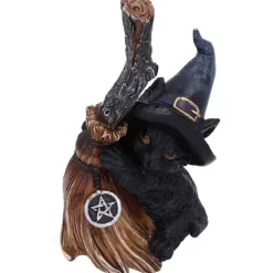 Nemesis Now Broom Guard Witches Cat