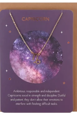 Something Different Capricorn Zodiac Necklace Card