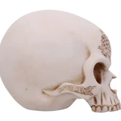 Nemesis Now Celtic Cave Dragon Skull