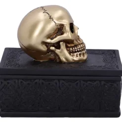 Nemesis Now Celtic Opulence Skull Box