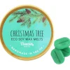 Something Different Christmas Tree Soy Wax Melts