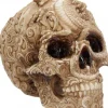 Nemesis Now Cranial Drakos Skull 19.5cm