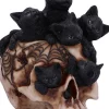 Nemesis Now Cranial Litter Skull