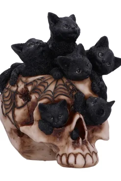 Nemesis Now Cranial Litter Skull