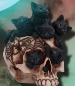 Nemesis Now Cranial Litter Skull