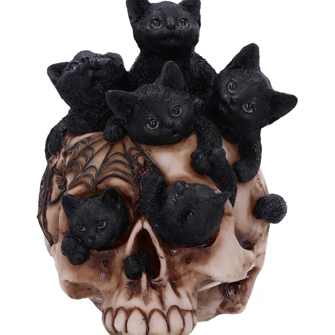 Nemesis Now Cranial Litter Skull