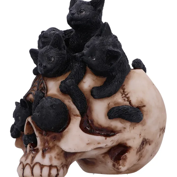 Nemesis Now Cranial Litter Skull