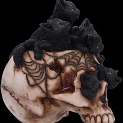 Nemesis Now Cranial Litter Skull