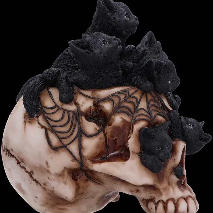 Nemesis Now Cranial Litter Skull
