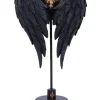 Nemesis Now Dark Angel Fallen Fae Wings