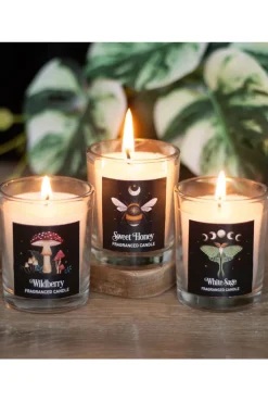 Something Different Dark Forest Votive Candle Trio