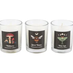 Something Different Dark Forest Votive Candle Trio