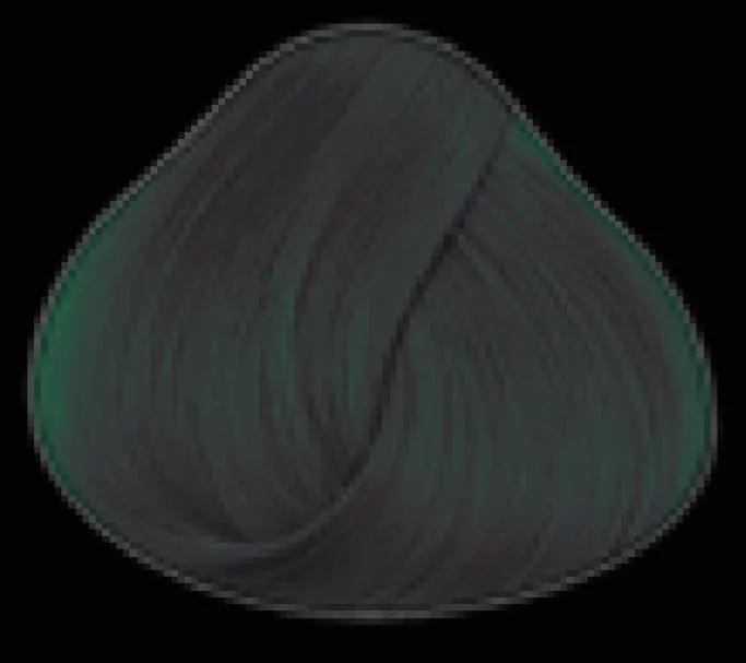 Directions Ebony Hair Dye