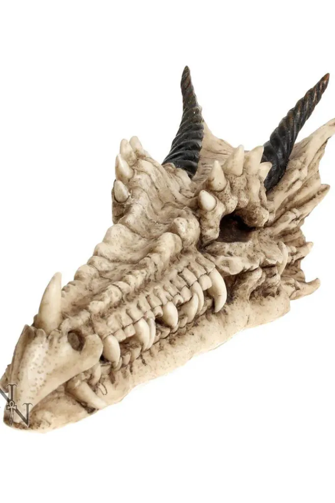 Nemesis Now Draco Skull Incense Holder