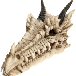 Nemesis Now Draco Skull Incense Holder