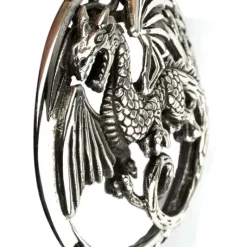 Echt etNox Celtic Dragon Pendant