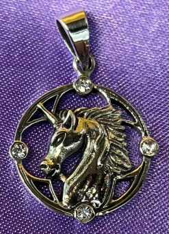 Echt etNox Unicorn Pendant Sterling Silver