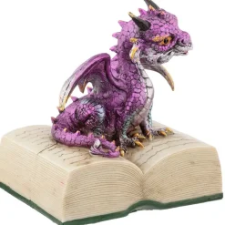 Puckator Elements Dragon with Book