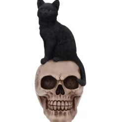 Nemesis Now Familiar Fate Witches Cat