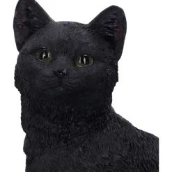 Nemesis Now Familiar Fate Witches Cat