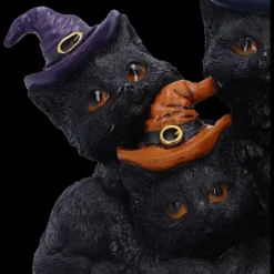 Nemesis Now Familiar Friends Witchy Black Cats