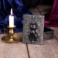 Nemesis Now Familiar Spell Cat Box