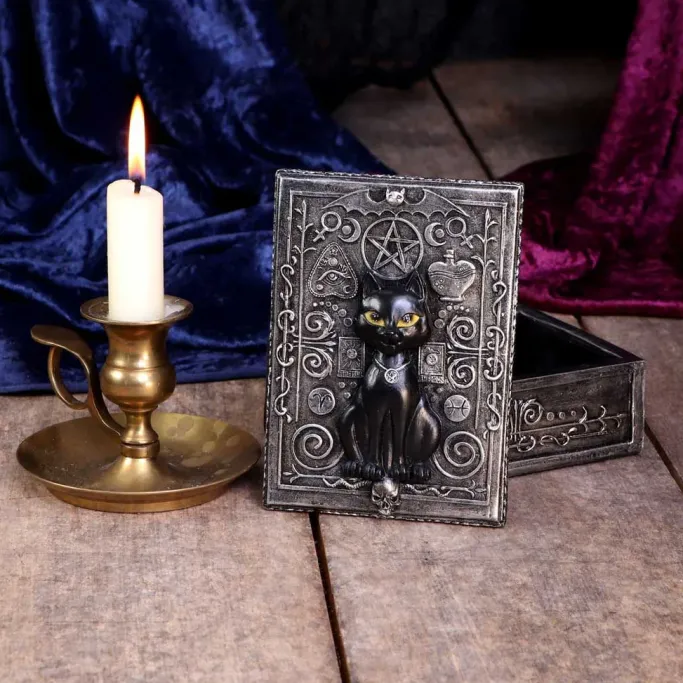 Nemesis Now Familiar Spell Cat Box