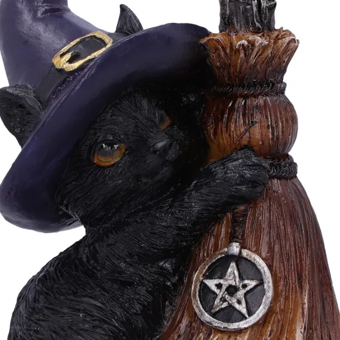 Nemesis Now Familiars Broom Witches Cat