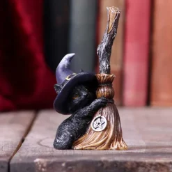 Nemesis Now Familiars Broom Witches Cat