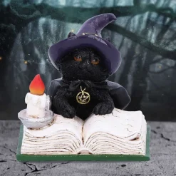 Nemesis Now Familiars Spell