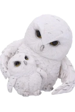 Nemesis Now Feathered Guide Owls